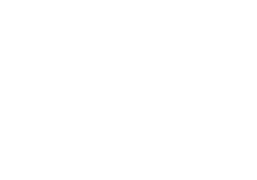 young entrepreneurs business plan